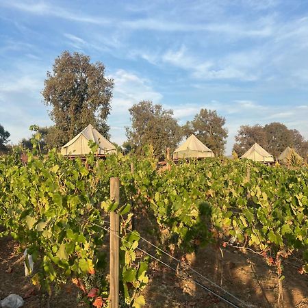 Lago Valle Wine Glamping Valle de Guadalupe Exterior foto