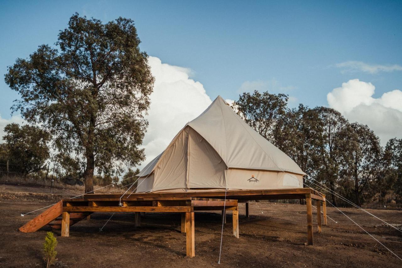 Lago Valle Wine Glamping Valle de Guadalupe Exterior foto