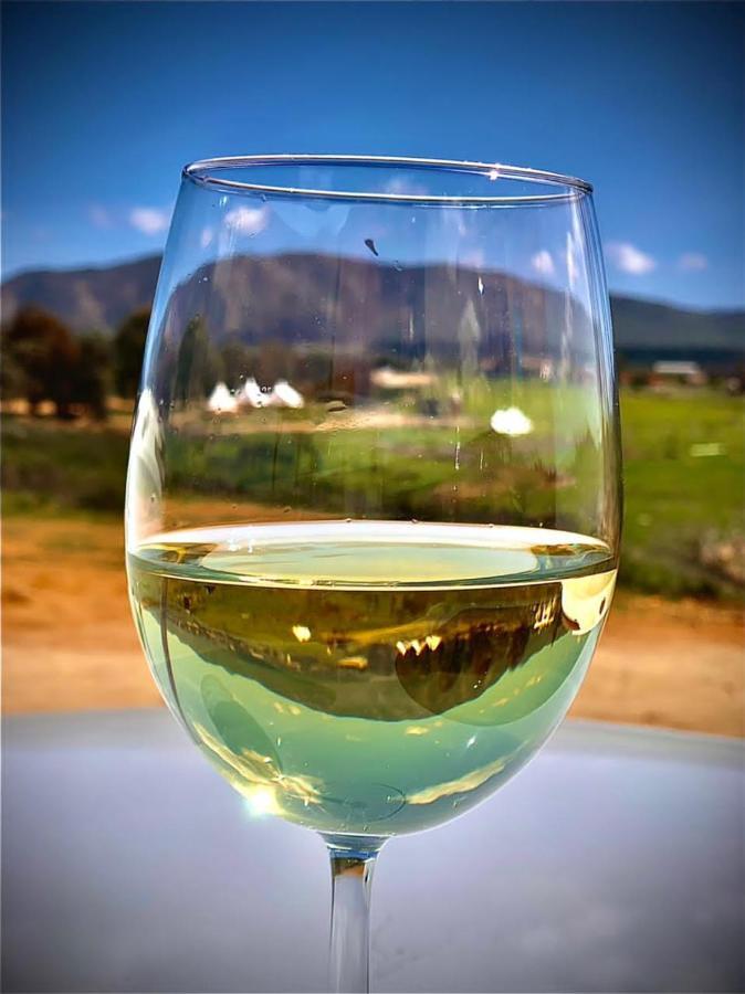Lago Valle Wine Glamping Valle de Guadalupe Exterior foto
