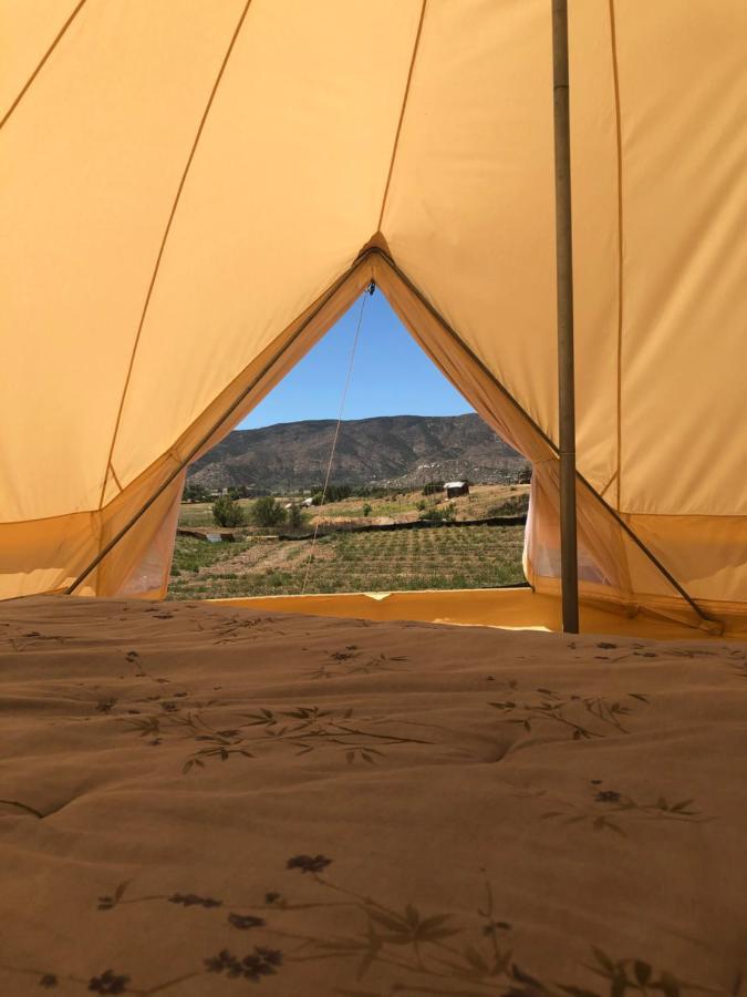 Lago Valle Wine Glamping Valle de Guadalupe Exterior foto