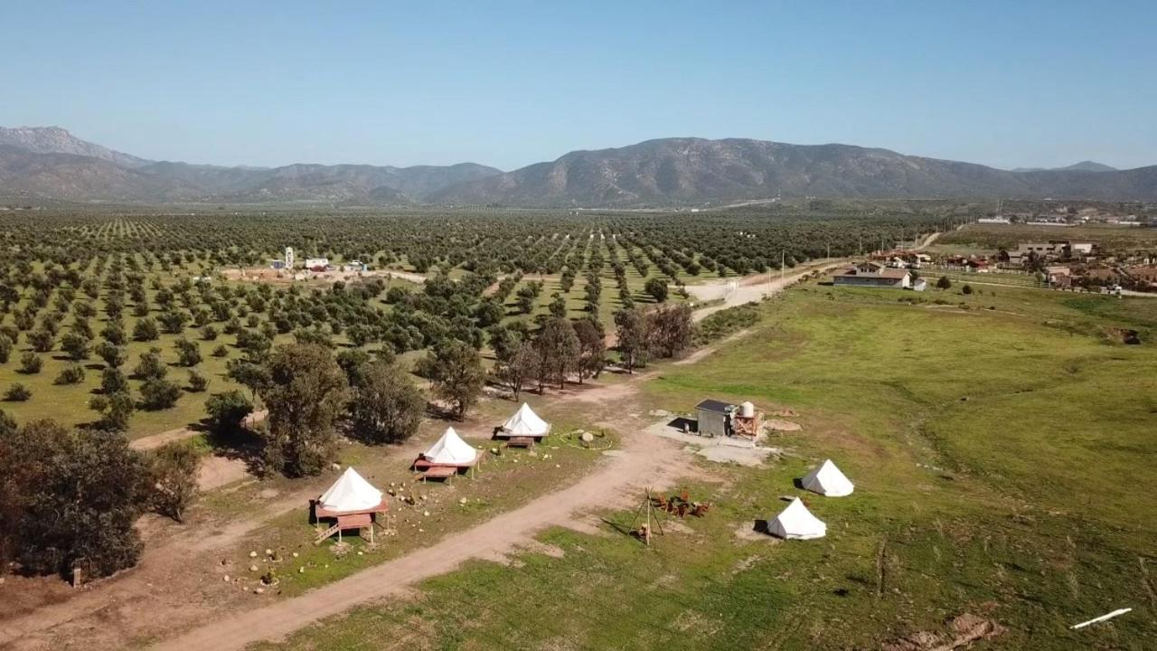 Lago Valle Wine Glamping Valle de Guadalupe Exterior foto
