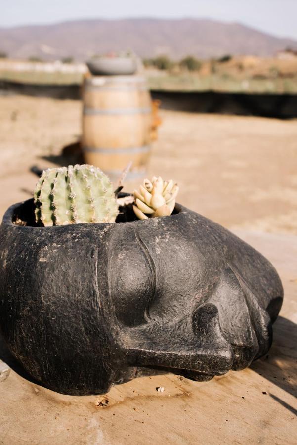 Lago Valle Wine Glamping Valle de Guadalupe Exterior foto