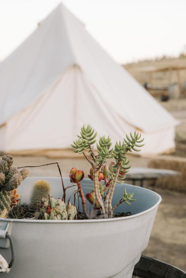 Lago Valle Wine Glamping Valle de Guadalupe Exterior foto