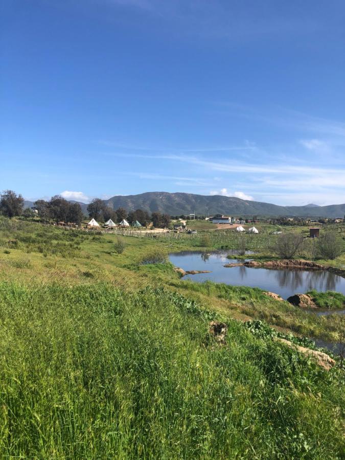 Lago Valle Wine Glamping Valle de Guadalupe Exterior foto